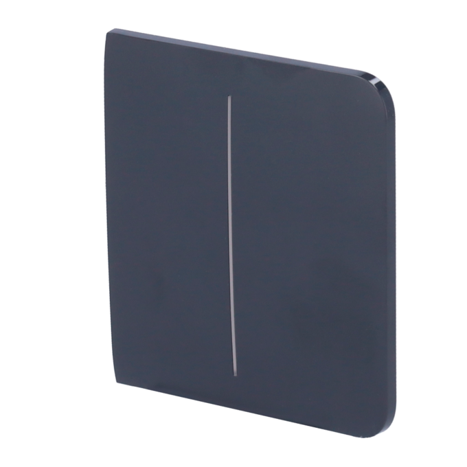 Panel táctil para interruptor de luz doble - Compatible con AJ-LIGHTCORE-2G - Retroiluminación LED - Panel táctil lateral sin contacto - Color grafito - Ajax - LightSwitch SideButton