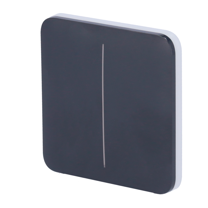 Panel táctil para interruptor de luz doble  - Compatibilidad con AJ-LIGHTCORE-2G - Retroiluminación LED - Panel táctil sin contacto - Color grafito - Ajax - LightSwitch SoloButton
