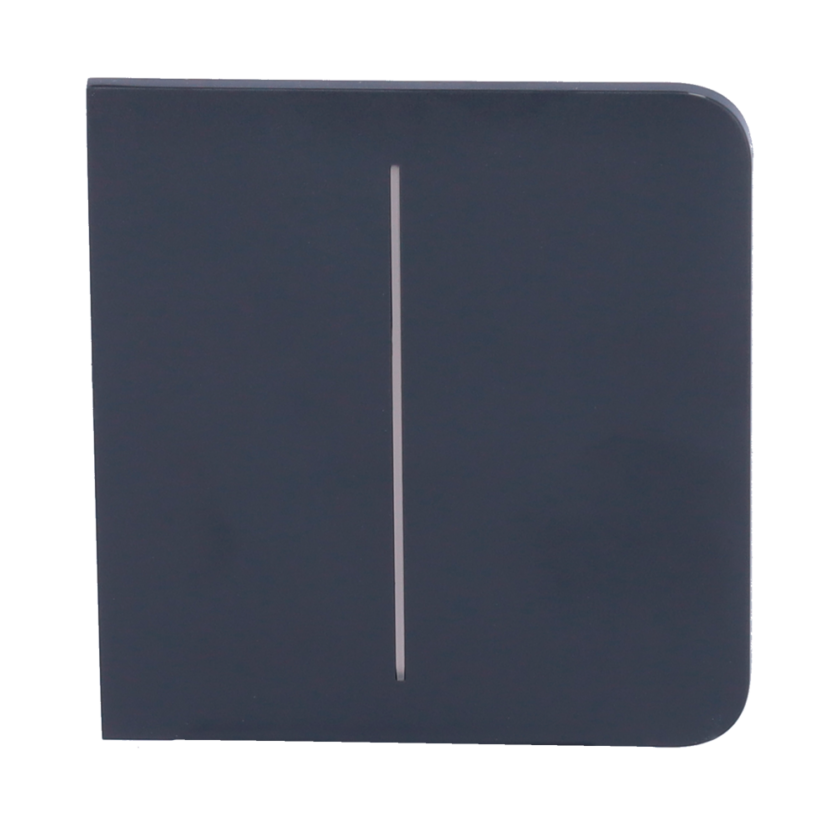 Panel táctil para interruptor de luz doble - Compatible con AJ-LIGHTCORE-2G - Retroiluminación LED - Panel táctil lateral sin contacto - Color grafito - Ajax - LightSwitch SideButton